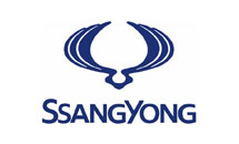 Ắc quy xe Ssangyong